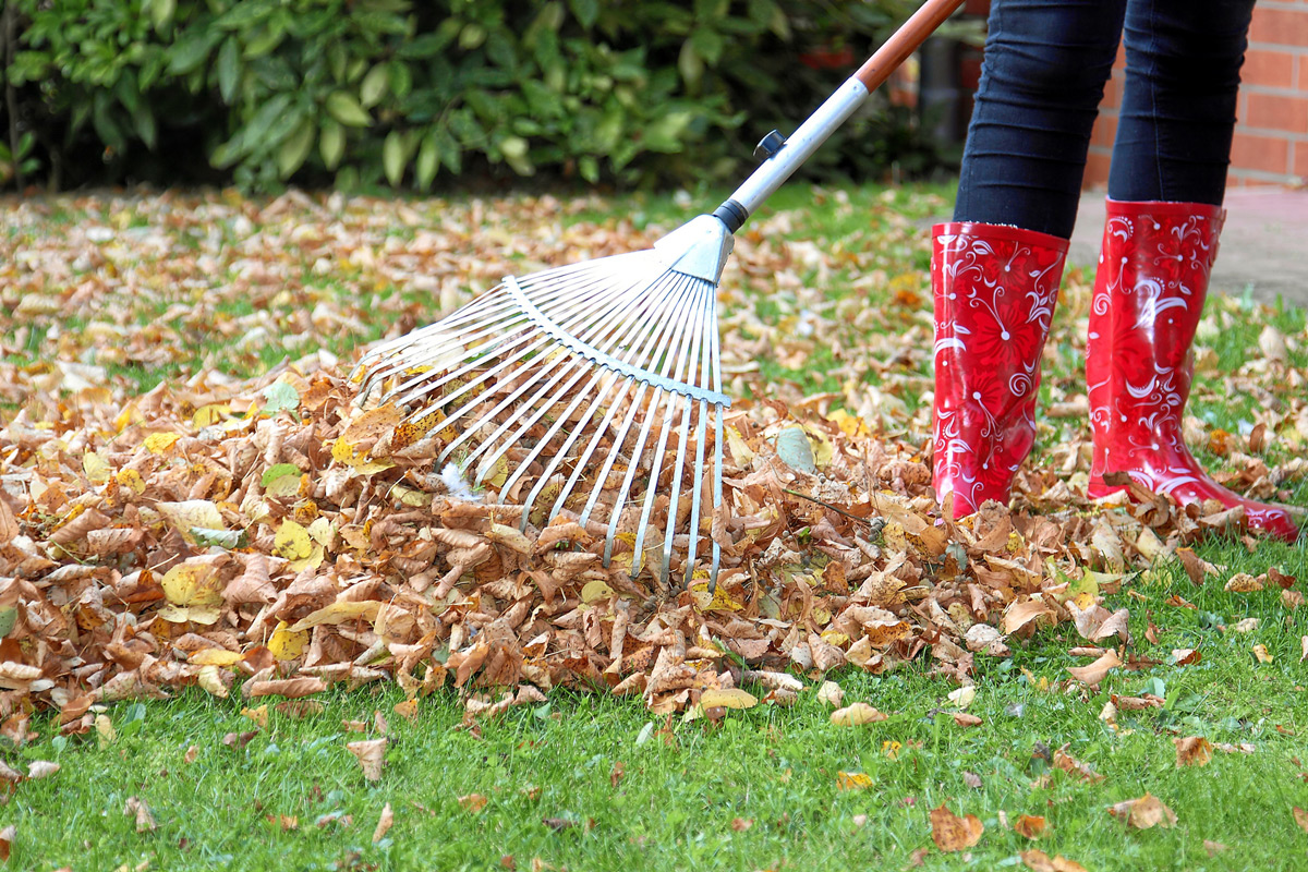 Fit für den Winter – Tipps für die Gartenarbeit