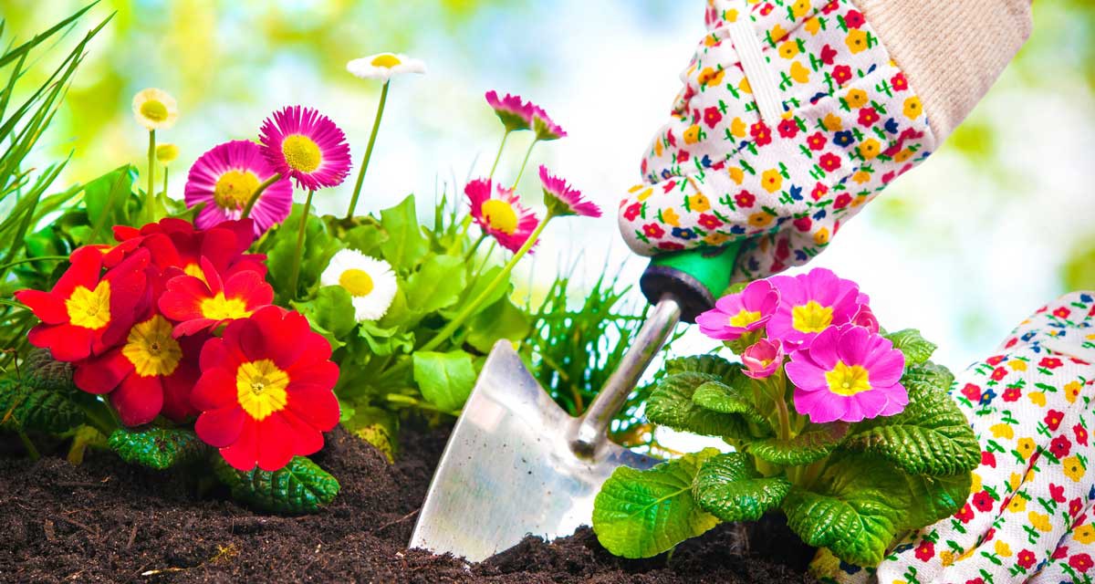 Haus und Garten: Mit dem Frühling startet die neue Gartensaison