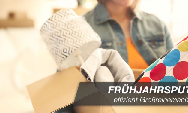 Frühjahrsputz: effizient Großreinemachen