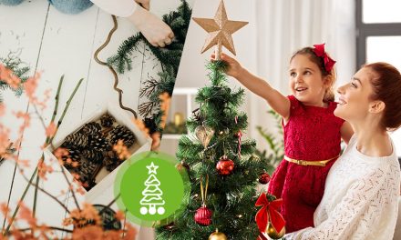<strong>Weihnachtsfest: Nachhaltige Dekoration für Ihr Zuhause</strong>